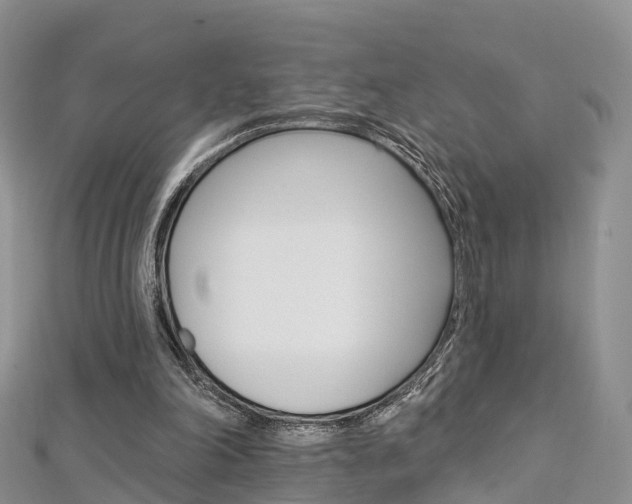 X0000112740198200908201042