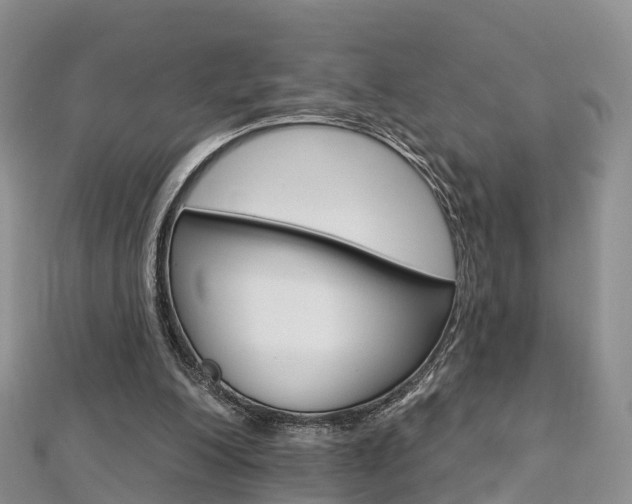 X0000112740200200908201042