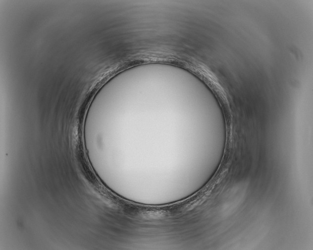 X0000112740202200908201042