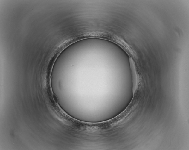 X0000112740203200908201042