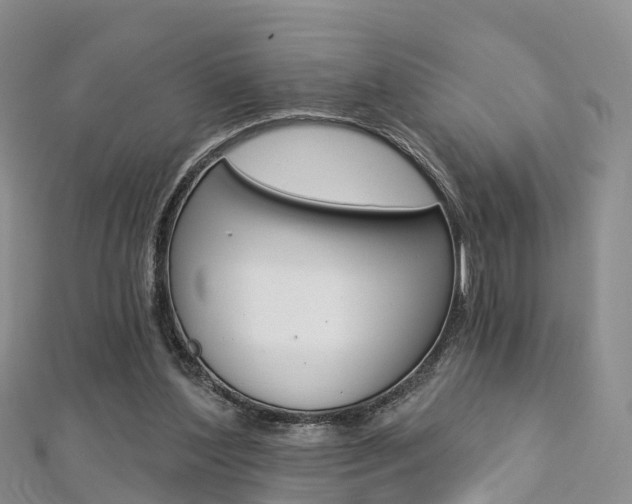 X0000112740204200908201042