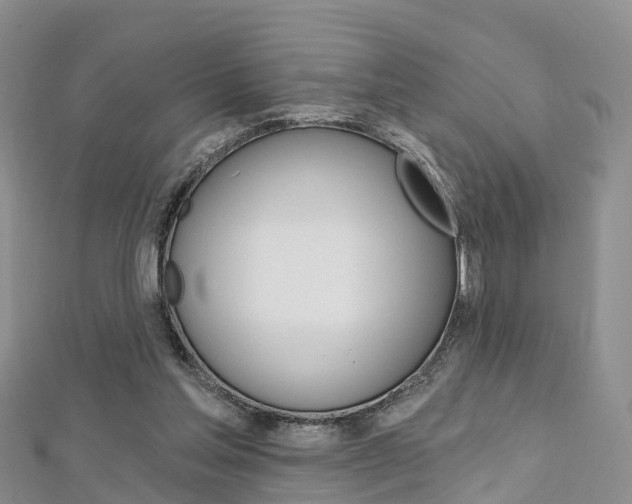 X0000112740205200908201042