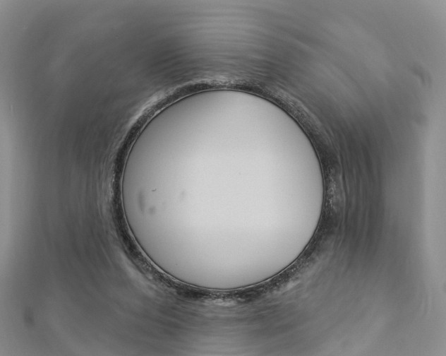 X0000112740208200908201042
