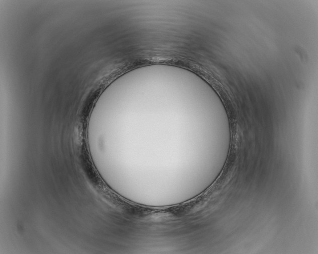 X0000112740210200908201042
