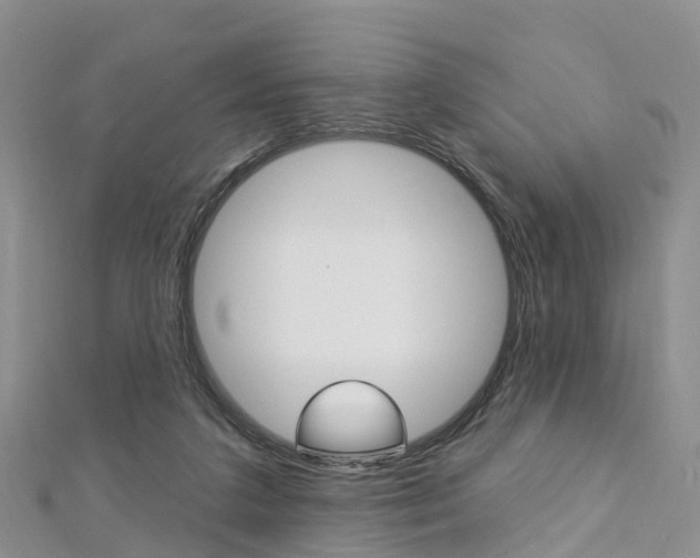 X0000112740211200908201042