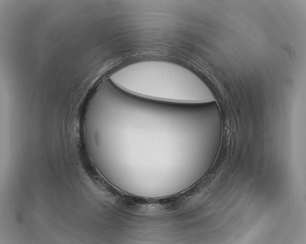 X0000112740212200908201042