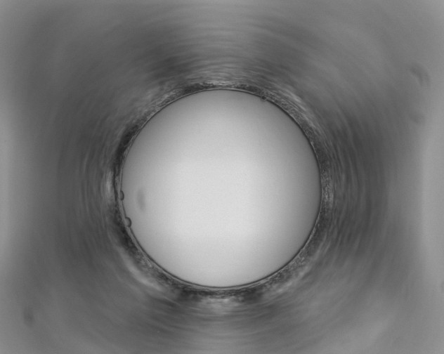 X0000112740213200908201042