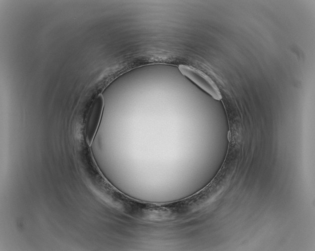 X0000112740215200908201042