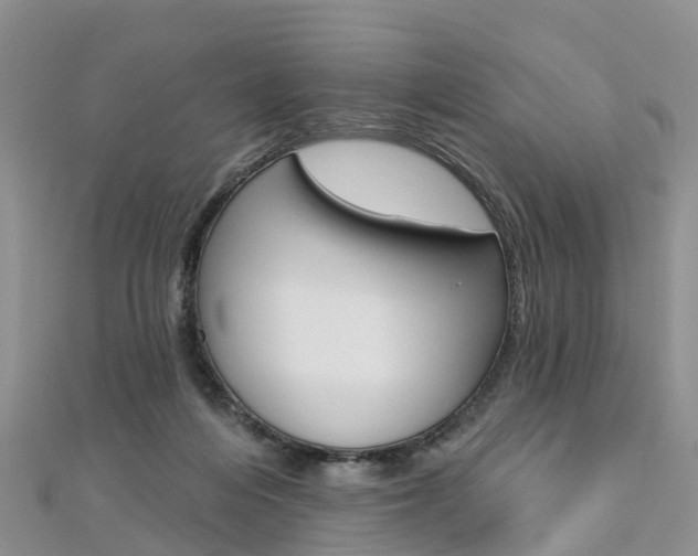X0000112740216200908201042