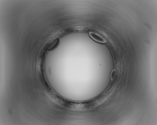 X0000112740217200908201042