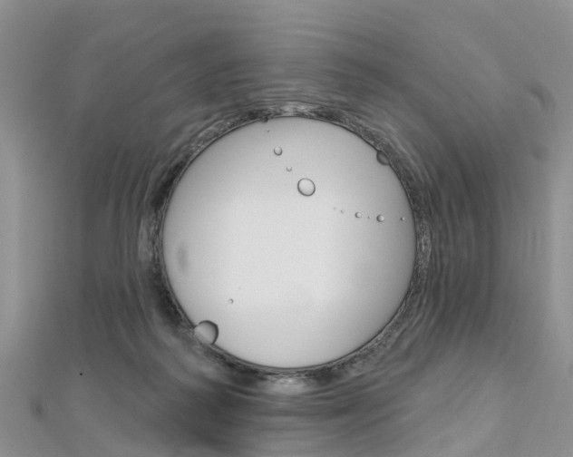 X0000112740218200908201042
