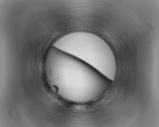X0000112740220200908201042