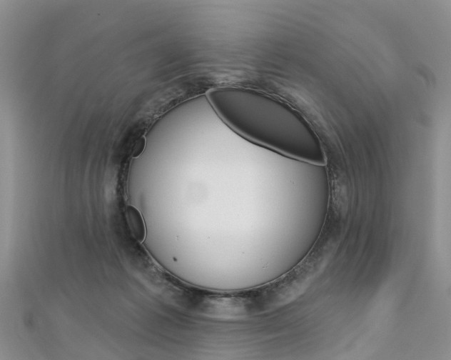 X0000112740221200908201042