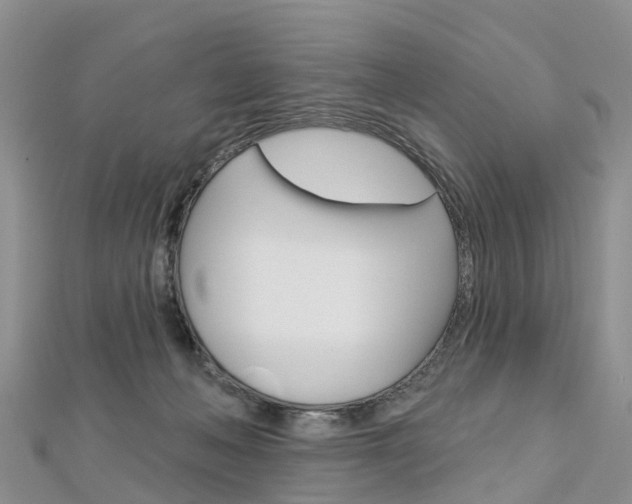 X0000112740222200908201042