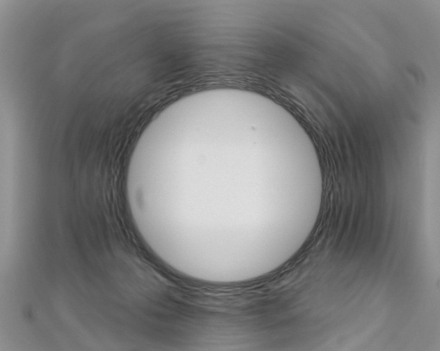 X0000112740223200908201042