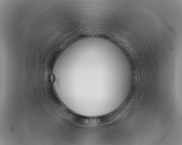 X0000112740225200908201042