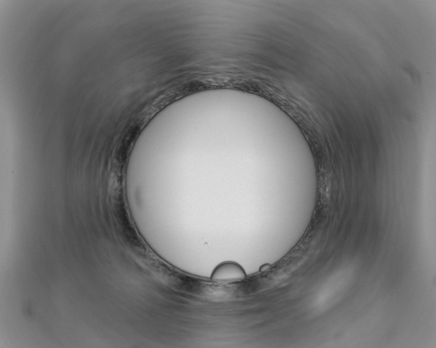 X0000112740226200908201042