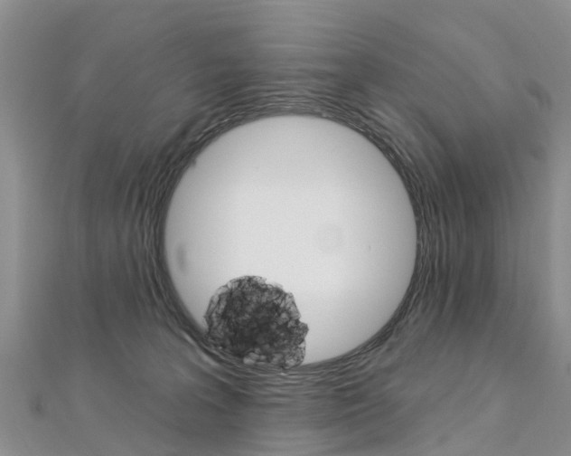 X0000112740227200908201042