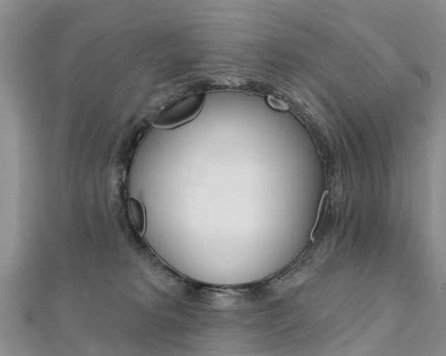 X0000112740229200908201042