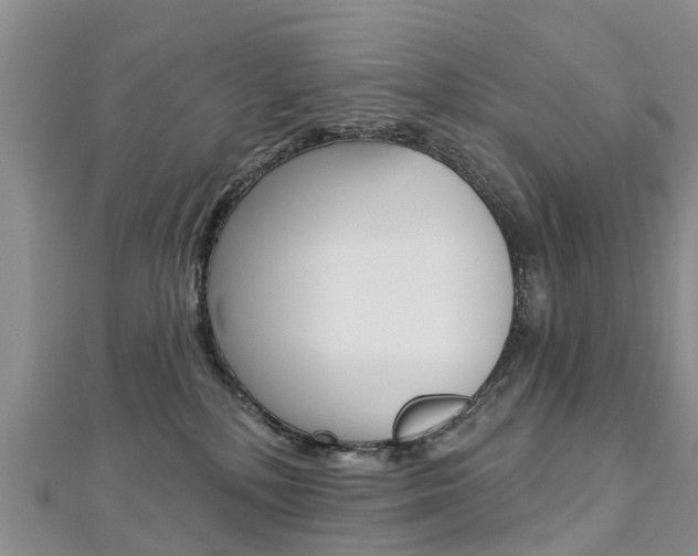 X0000112740232200908201042