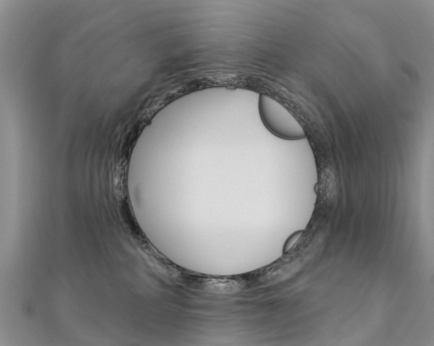 X0000112740234200908201042