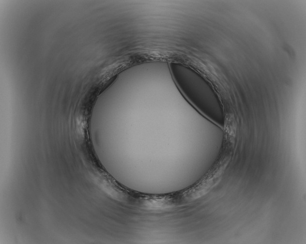X0000112740235200908201042