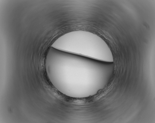X0000112740236200908201042