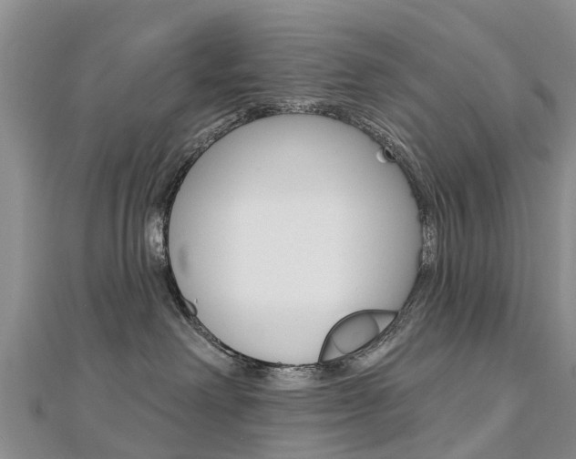 X0000112740238200908201042