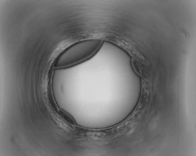 X0000112740242200908201041