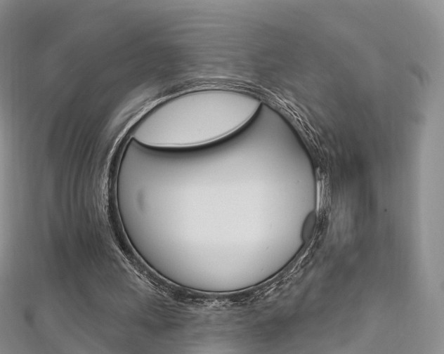 X0000112740243200908201041