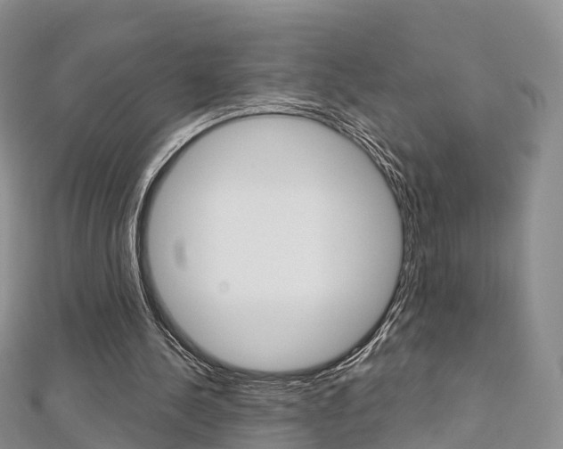 X0000112740244200908201041