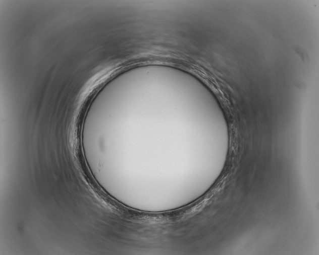 X0000112740245200908201041