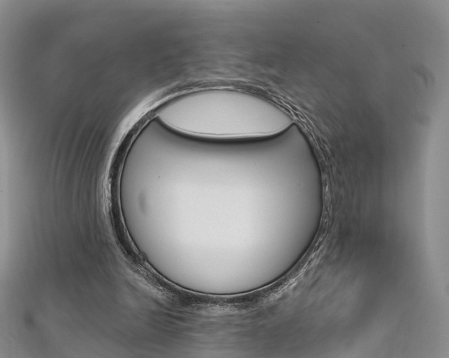 X0000112740246200908201041
