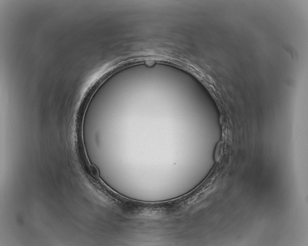 X0000112740248200908201041
