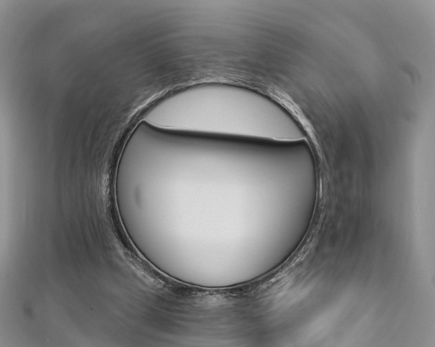 X0000112740249200908201041