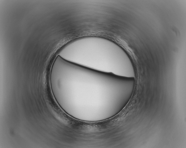 X0000112740250200908201041