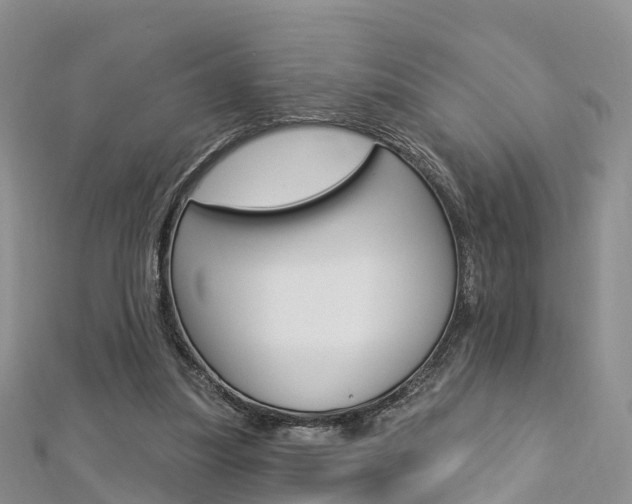 X0000112740251200908201041