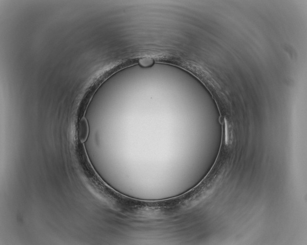 X0000112740252200908201041