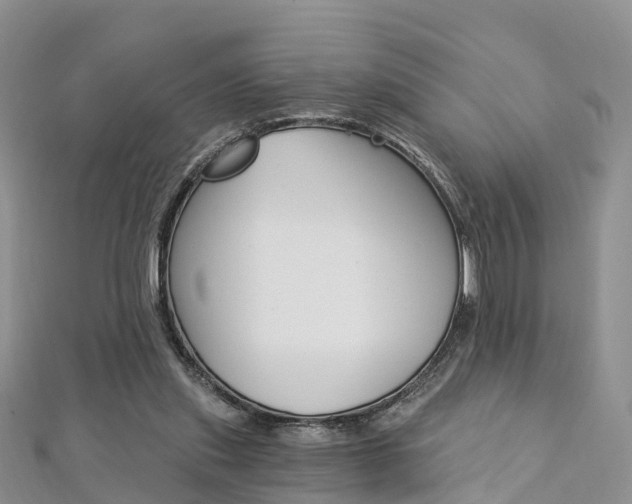X0000112740253200908201041