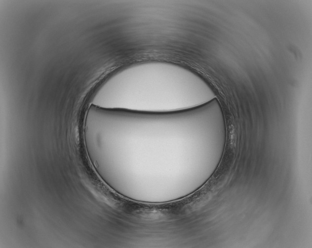 X0000112740254200908201041