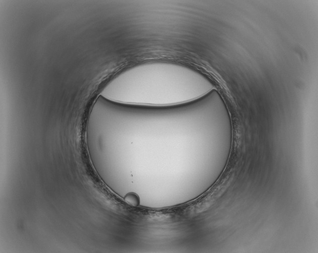 X0000112740257200908201041