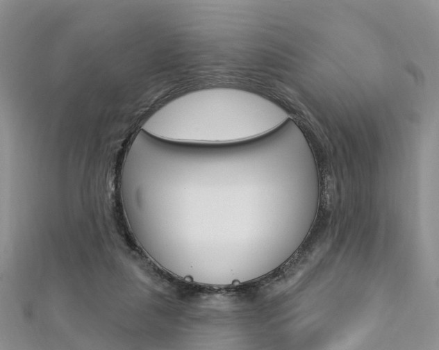 X0000112740259200908201041