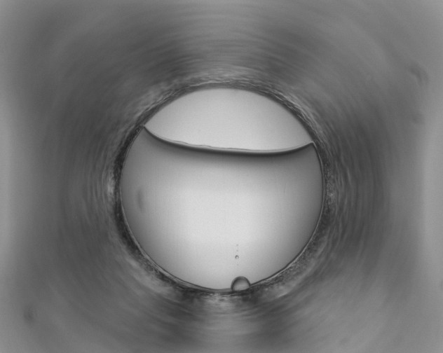 X0000112740261200908201041