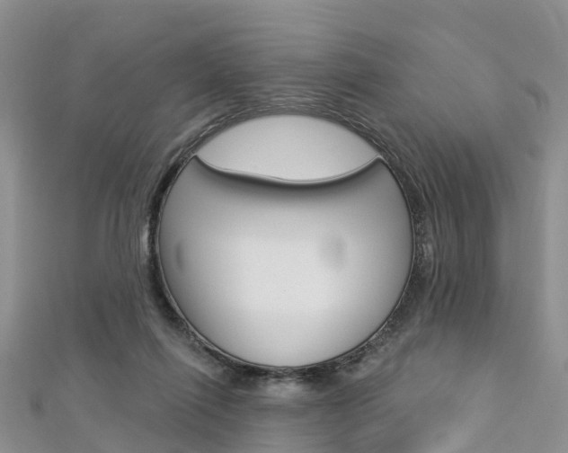 X0000112740262200908201041