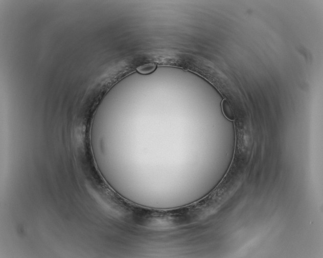X0000112740263200908201041