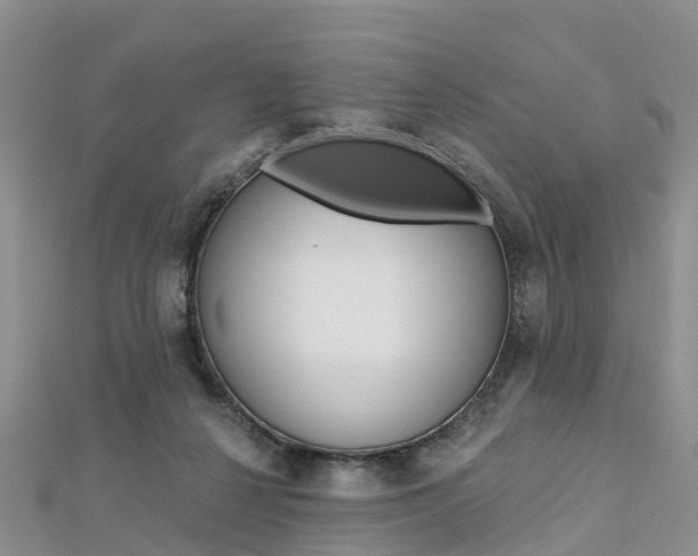 X0000112740264200908201041