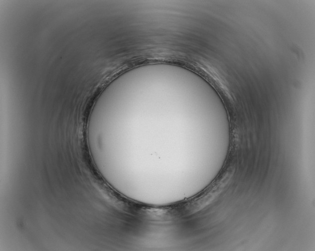 X0000112740265200908201041