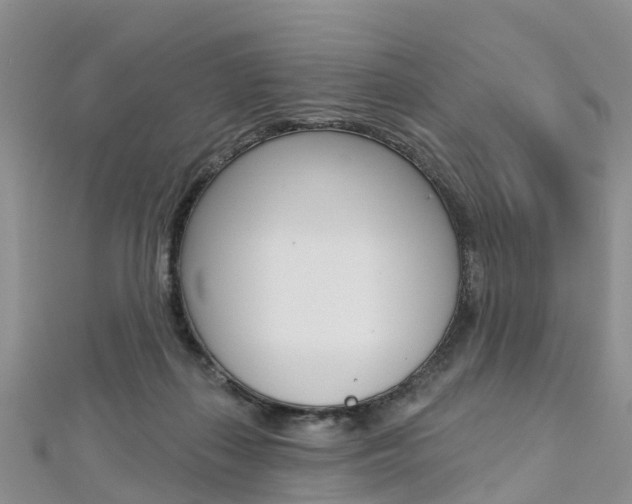 X0000112740267200908201041