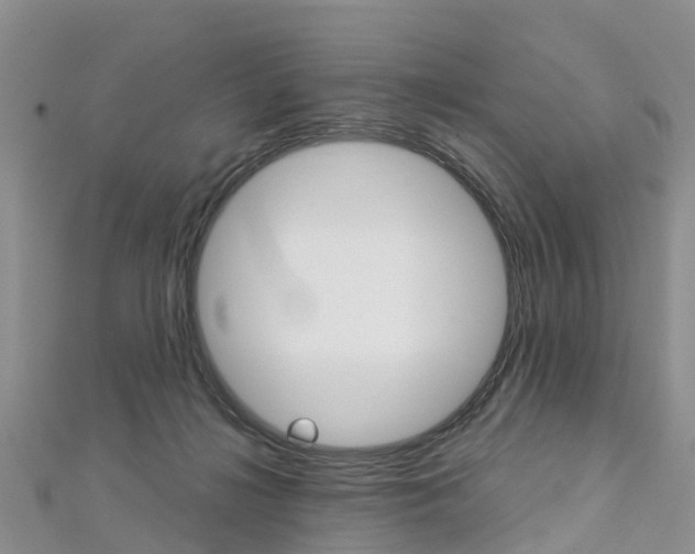X0000112740268200908201041
