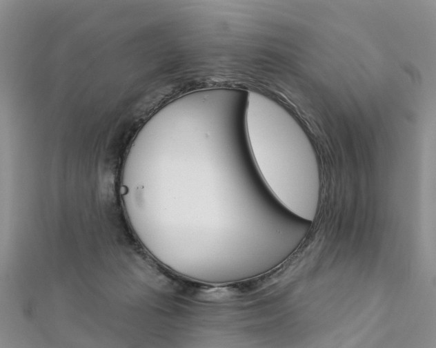X0000112740269200908201041